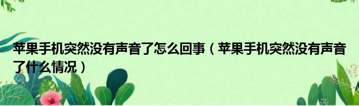 苹果手机突然没有声音了怎么回事 苹果手机突然没有声音了什么情况