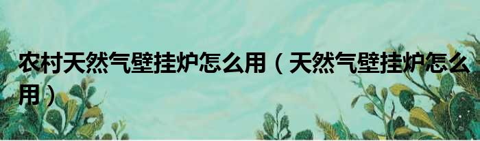 农村天然气壁挂炉怎么用 天然气壁挂炉怎么用