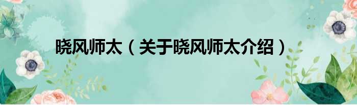 晓风师太 关于晓风师太介绍