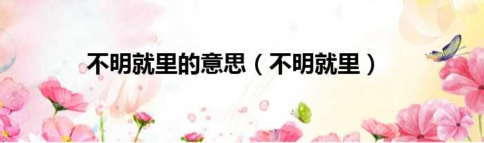 不明就里的意思 不明就里