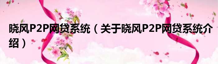 晓风P2P网贷系统 关于晓风P2P网贷系统介绍