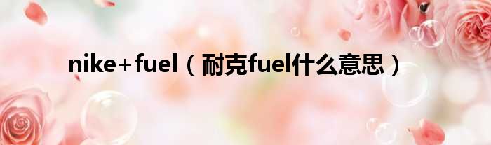 nike+fuel 耐克fuel什么意思