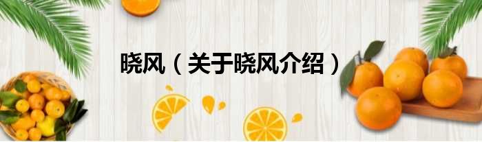 晓风 关于晓风介绍