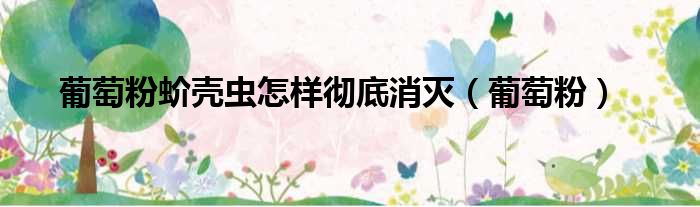 葡萄粉蚧壳虫怎样彻底消灭 葡萄粉