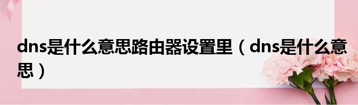 dns是什么意思路由器设置里 dns是什么意思