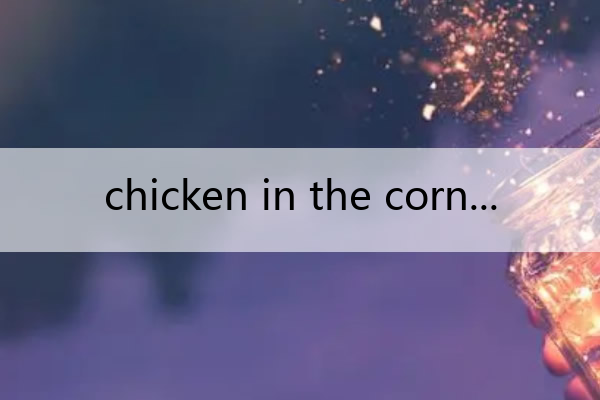 chicken in the corn chicken in the corn 吉他谱