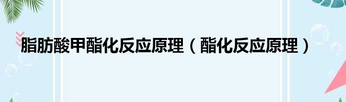 脂肪酸甲酯化反应原理 酯化反应原理