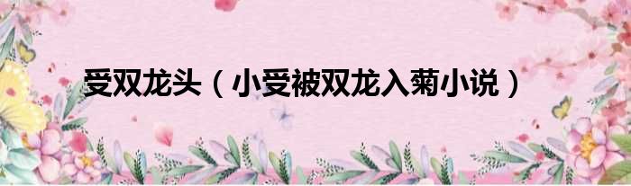 受双龙头 小受被双龙入菊小说