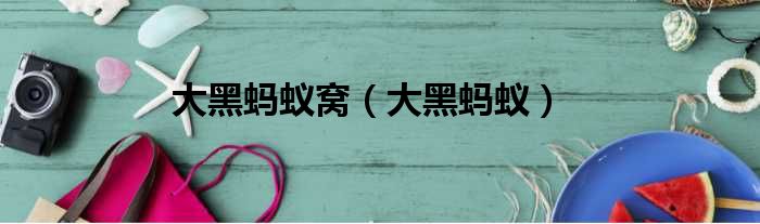 大黑蚂蚁窝 大黑蚂蚁
