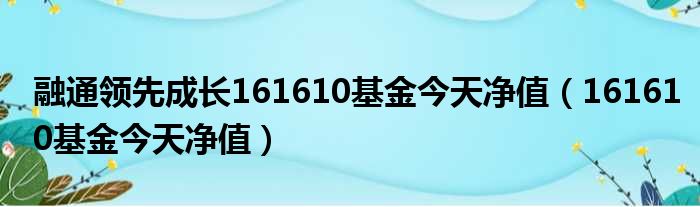 融通领先成长161610基金今天净值 161610基金今天净值