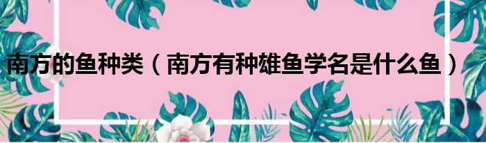 南方的鱼种类 南方有种雄鱼学名是什么鱼