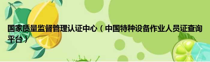 国家质量监督管理认证中心 中国特种设备作业人员证查询平台