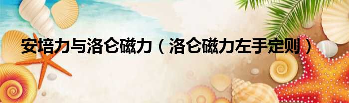 安培力与洛仑磁力 洛仑磁力左手定则