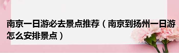 南京一日游必去景点推荐 南京到扬州一日游怎么安排景点