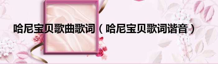 哈尼宝贝歌曲歌词 哈尼宝贝歌词谐音