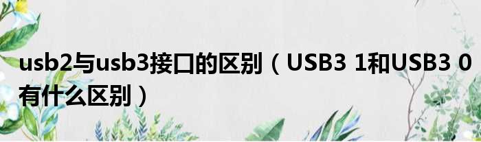 usb2与usb3接口的区别 USB3 1和USB3 0有什么区别