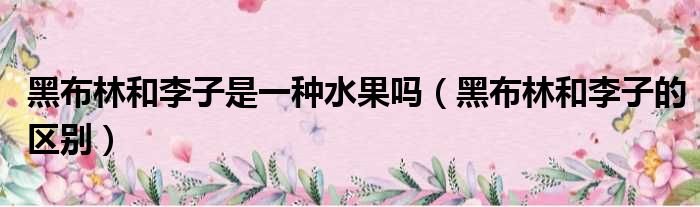 黑布林和李子是一种水果吗 黑布林和李子的区别