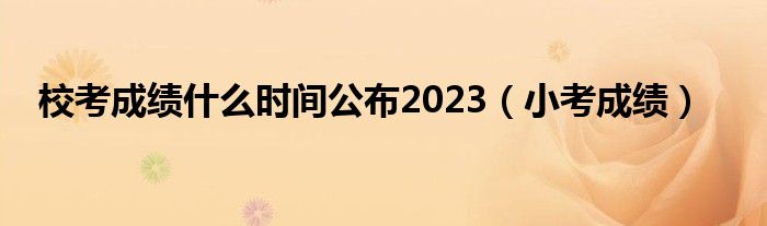 校考成绩什么时间公布2023 小考成绩