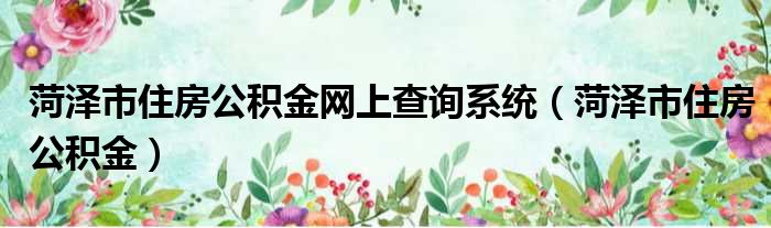 菏泽市住房公积金网上查询系统 菏泽市住房公积金
