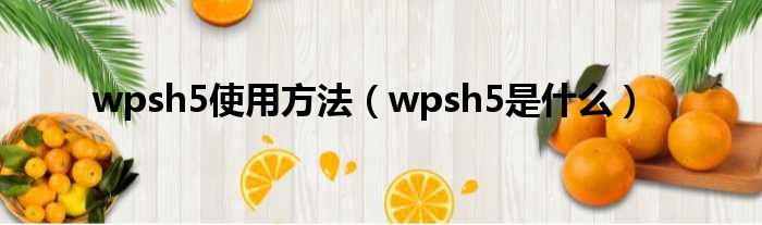 wpsh5使用方法 wpsh5是什么