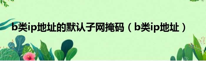 b类ip地址的默认子网掩码 b类ip地址