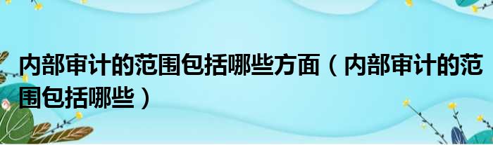 内部审计的范围包括哪些方面 内部审计的范围包括哪些