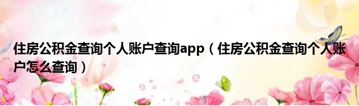 住房公积金查询个人账户查询app 住房公积金查询个人账户怎么查询