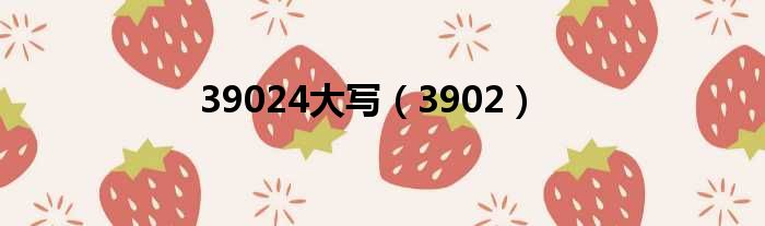 39024大写 3902