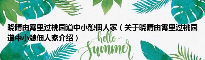 晓晴由霄里过桃园道中小憩佃人家 关于晓晴由霄里过桃园道中小憩佃人家介绍