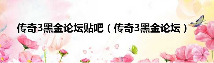 传奇3黑金论坛贴吧 传奇3黑金论坛