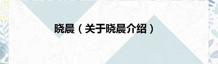 晓晨 关于晓晨介绍