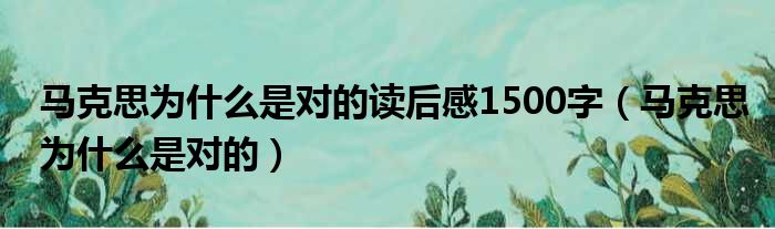 马克思为什么是对的读后感1500字 马克思为什么是对的