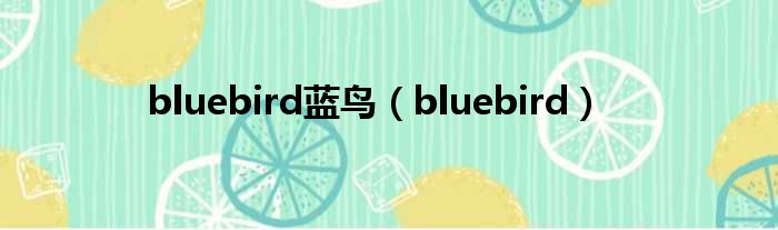 bluebird蓝鸟 bluebird