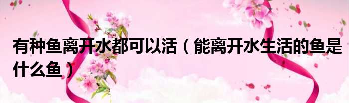 有种鱼离开水都可以活 能离开水生活的鱼是什么鱼