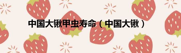 中国大锹甲虫寿命 中国大锹