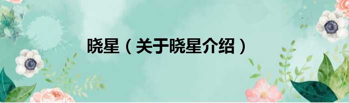晓星 关于晓星介绍
