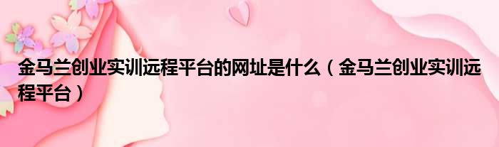 金马兰创业实训远程平台的网址是什么 金马兰创业实训远程平台