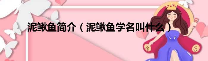 泥鳅鱼简介 泥鳅鱼学名叫什么