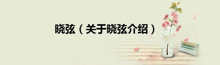 晓弦 关于晓弦介绍