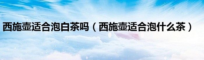 西施壶适合泡白茶吗 西施壶适合泡什么茶