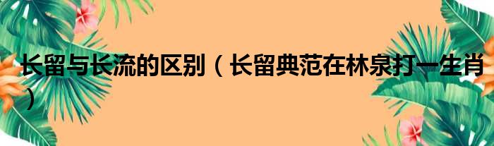 长留与长流的区别 长留典范在林泉打一生肖