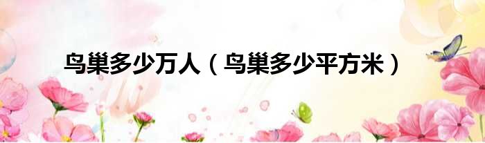 鸟巢多少万人 鸟巢多少平方米