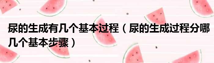 尿的生成有几个基本过程 尿的生成过程分哪几个基本步骤