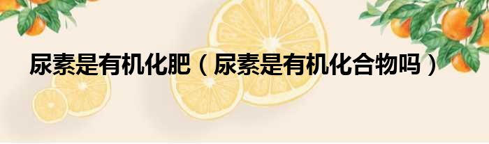 尿素是有机化肥 尿素是有机化合物吗