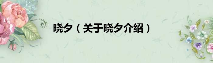 晓夕 关于晓夕介绍