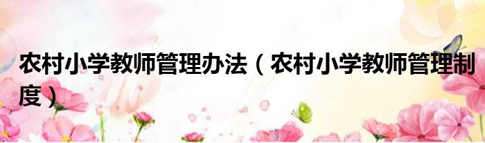 农村小学教师管理办法 农村小学教师管理制度