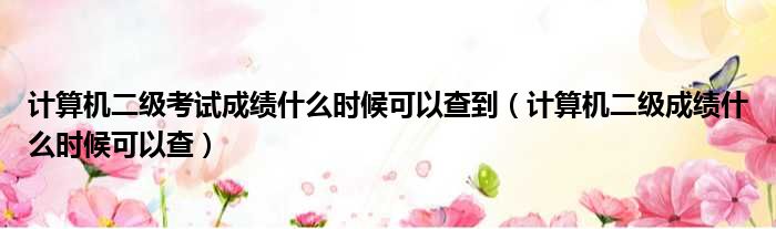 计算机二级考试成绩什么时候可以查到 计算机二级成绩什么时候可以查