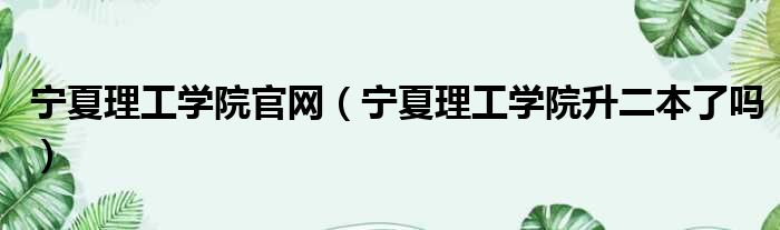 宁夏理工学院官网 宁夏理工学院升二本了吗