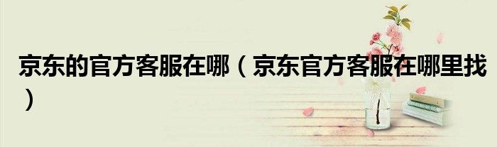 京东的官方客服在哪 京东官方客服在哪里找
