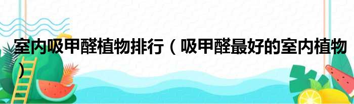 室内吸甲醛植物排行 吸甲醛最好的室内植物